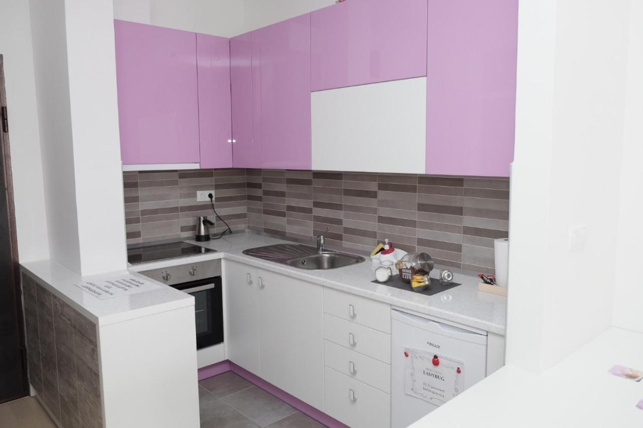 Apartman Ladybug バニャ・ルカ エクステリア 写真